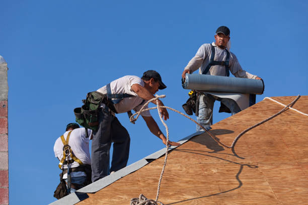 Best Flat Roof Repair Services  in Woodland Park, CO