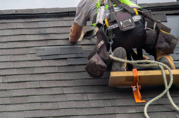 Quick and Trustworthy Emergency Roof Repair Services in Woodland Park, CO