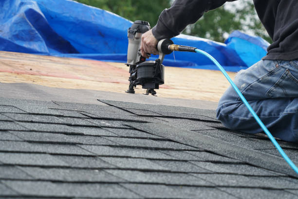 Best Local Roofing Companies  in Woodland Park, CO