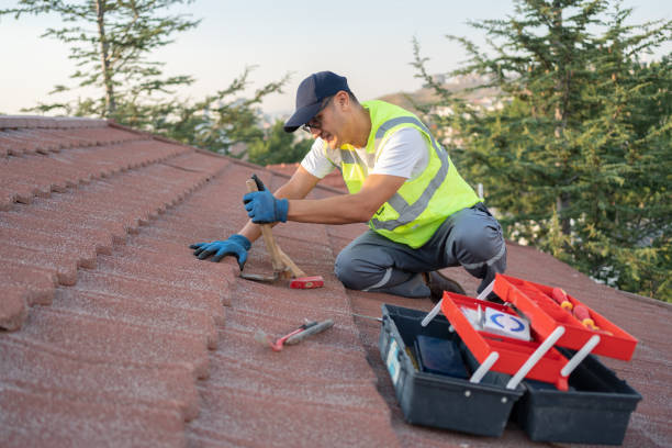 Best New Roof Installation  in Woodland Park, CO