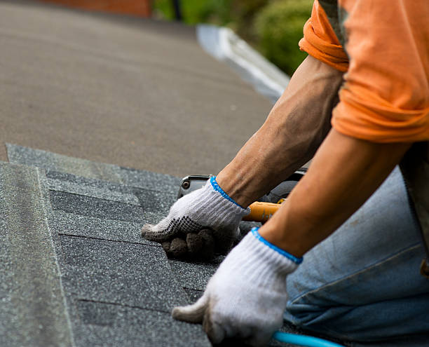 Best Sealant for Roof  in Woodland Park, CO