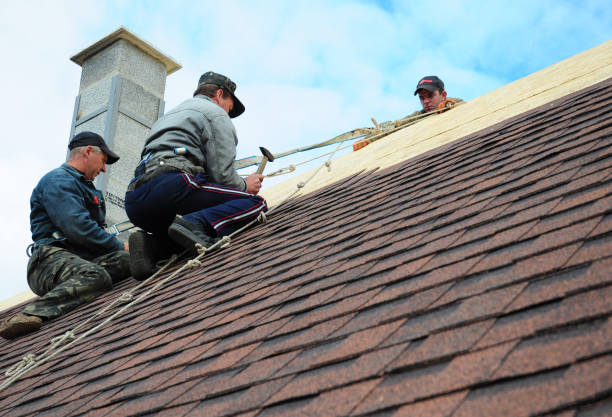 Professional Roofing Contractor in Woodland Park, CO